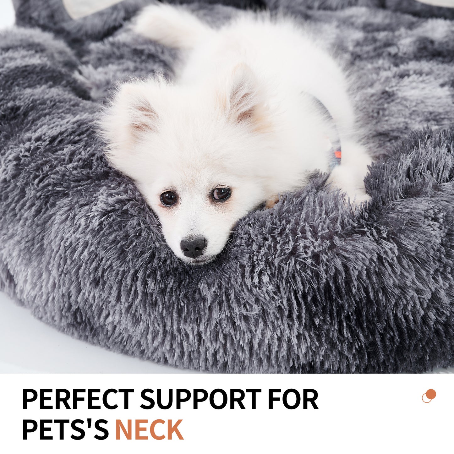 Dog Beds & Furniture For Small And Medium Dogs