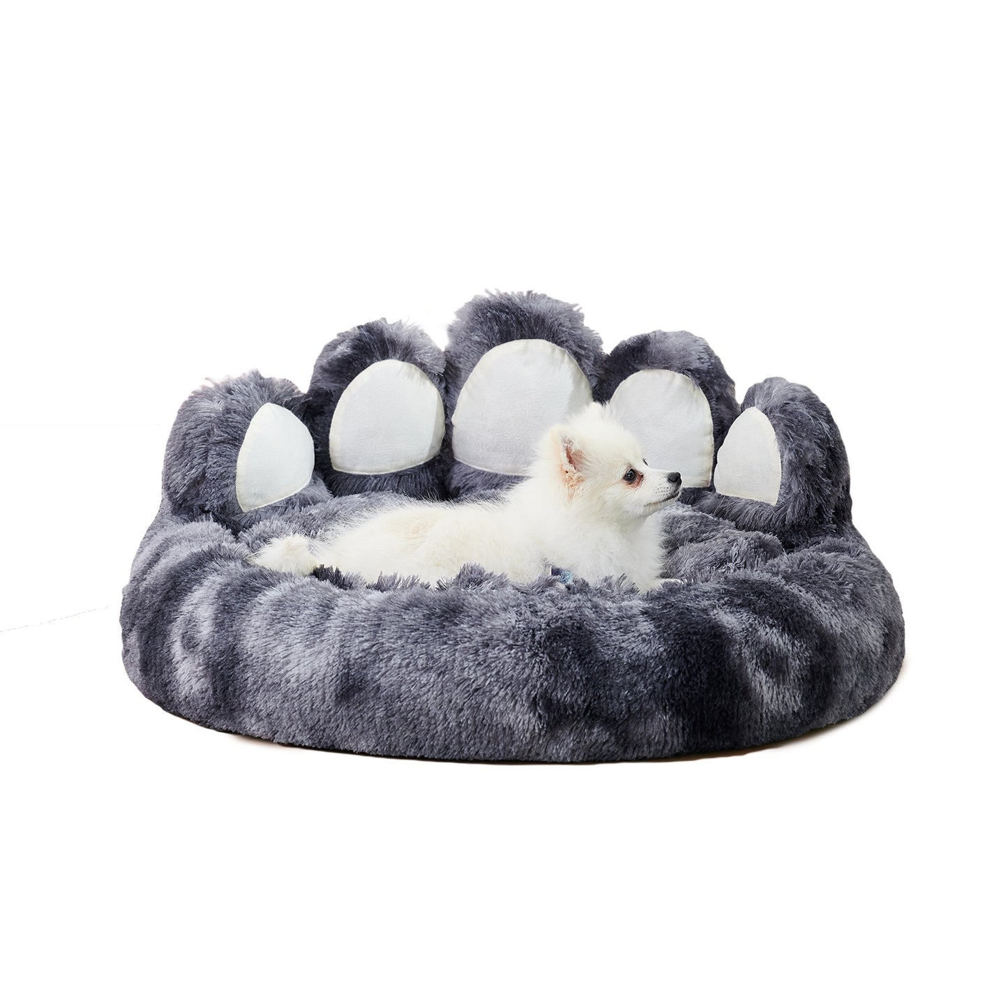 Dog Beds & Furniture For Small And Medium Dogs
