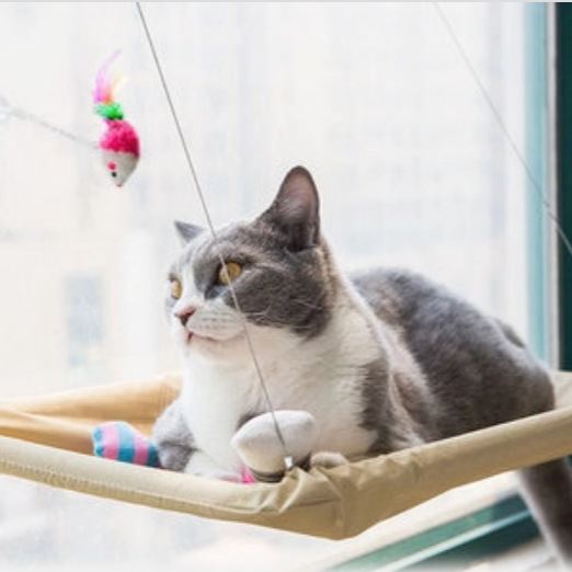 Cat Window Bed