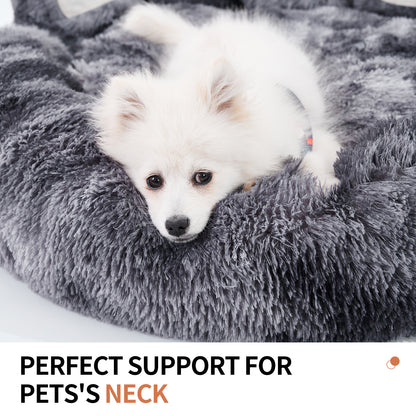 Dog Beds & Furniture For Small And Medium Dogs