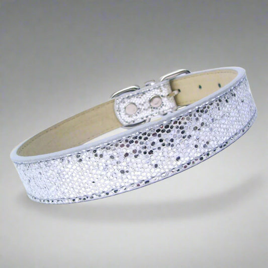 Disco Fever Dog Collar