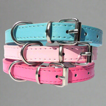 Kensington Plain Dog Collars