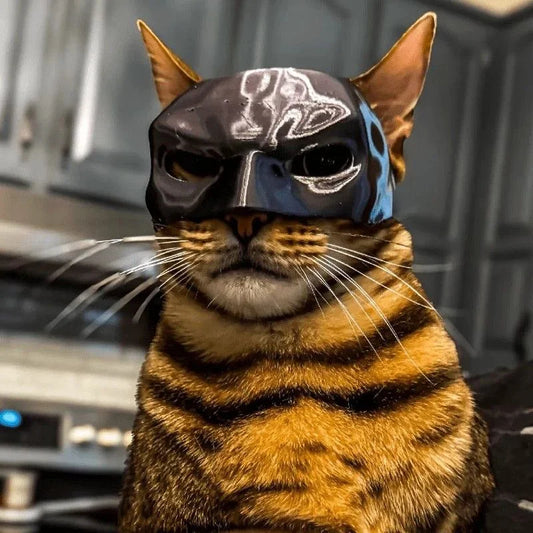Funny Cat Mask Pet Costume 3D Printed Hero Style Cosplay Halloween Photo Prop UK