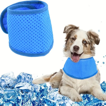 PawCool Scarf