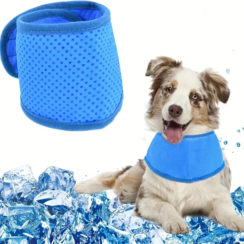 PawCool Scarf