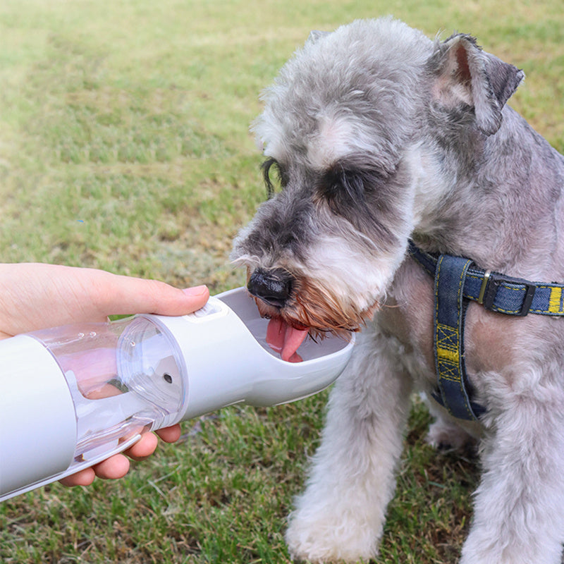 Smart 3-in-1 Dog Travel Mug – Water Dispenser + Waste Bag Holder
Perfect for travel, hikes, or city strolls. Compact, lightweight, and easy to carry
